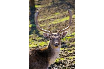 Slovakia Chata Veľké Rovné, Exterior